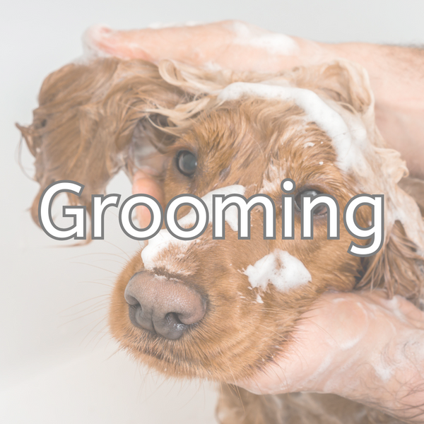 Grooming