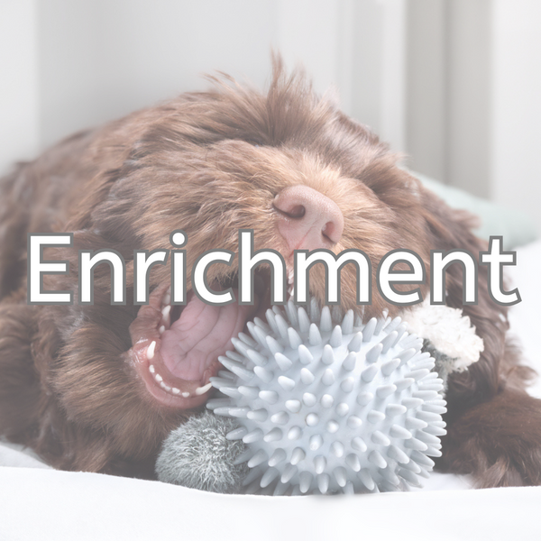 Enrichment