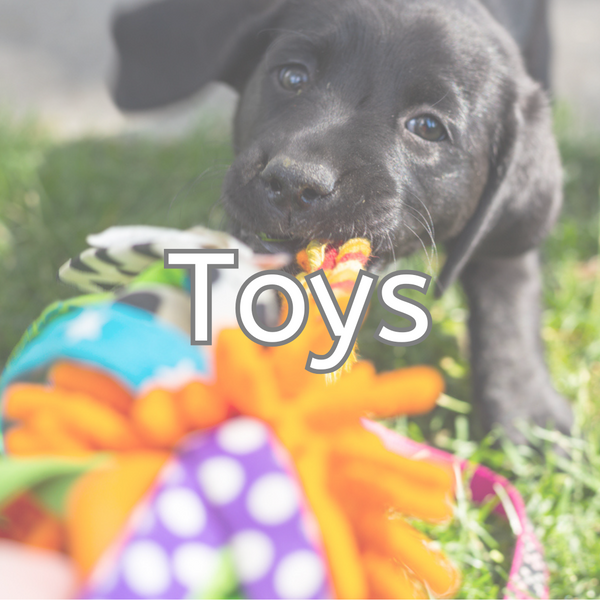 Dog Toys