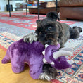 Load image into Gallery viewer, Charlie Triceratops