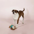 Load image into Gallery viewer, Coco Bananas Plush Dog Toy