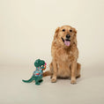 Load image into Gallery viewer, 5 O'Clock Somewhere Plush Dog Toy