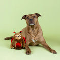 Load image into Gallery viewer, Little Ladybug Plush Dog Toy