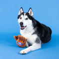 Load image into Gallery viewer, Wagsdale Catch, You're Out Plush Dog Toy