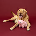 Load image into Gallery viewer, I Ham What I Ham Plush Dog Toy