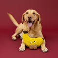 Load image into Gallery viewer, Head Over Peels For You Plush Dog Toy