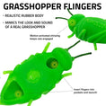 Load image into Gallery viewer, Chirping Grasshoppers Cat Toy