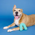 Load image into Gallery viewer, Color Me Happy Turquoise Rubber Dog Toy