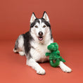 Load image into Gallery viewer, Unleash The Dino Rubber/Plush Dog Toy