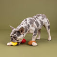 Load image into Gallery viewer, Shrooming 3pc Mini Plush Dog Toy Set