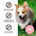 Load image into Gallery viewer, Freeze-Dried Raw Dog Treats - Peelin’ Fantastic