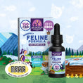Load image into Gallery viewer, CBD Oil for Cats