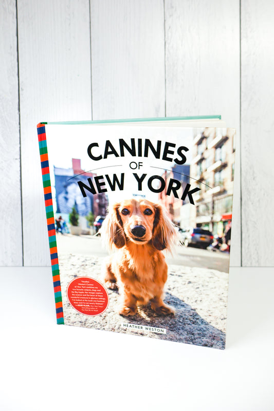Canines Of New York