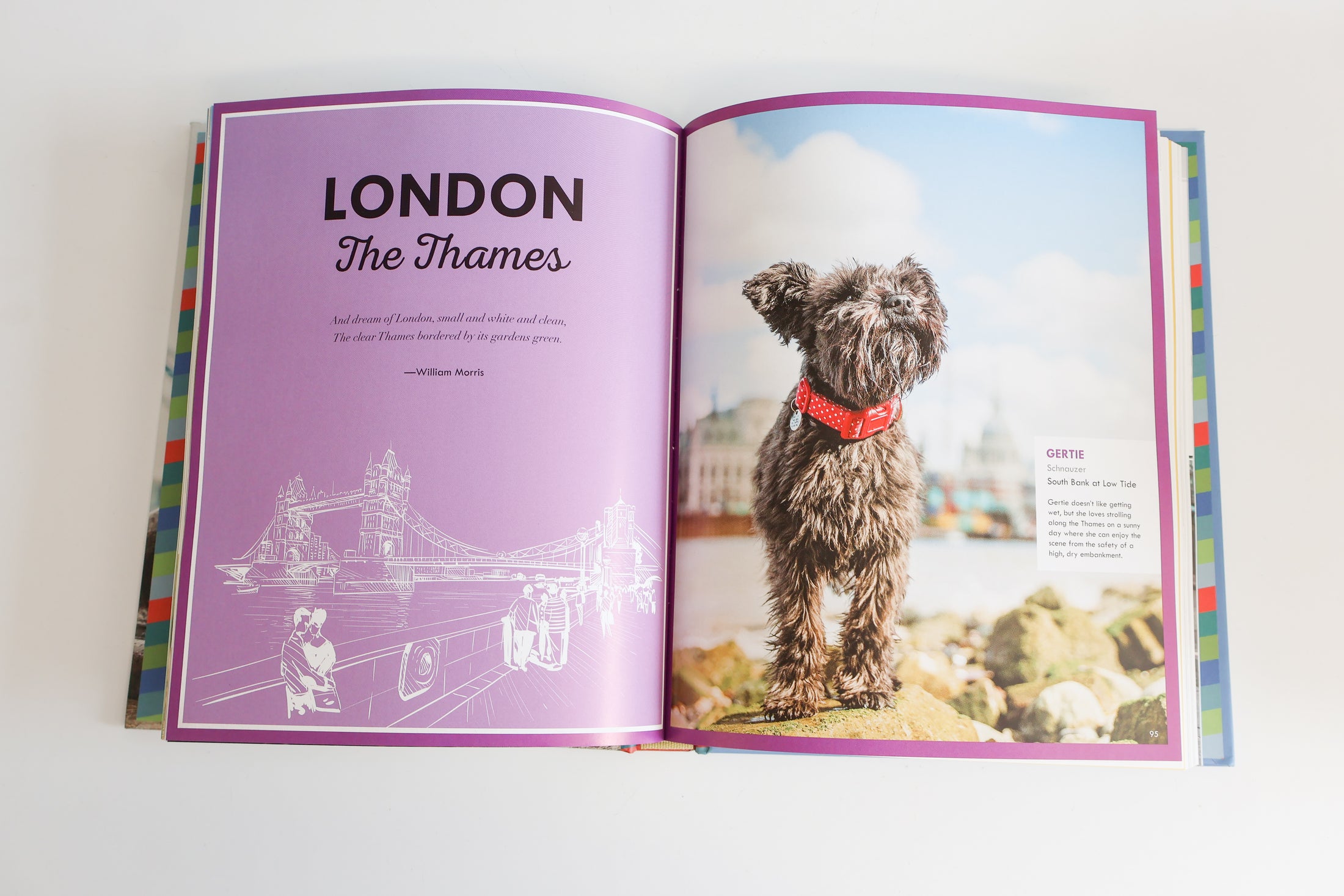Canines Of London