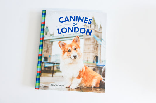 Canines Of London