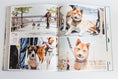 Load image into Gallery viewer, Canines Of New York