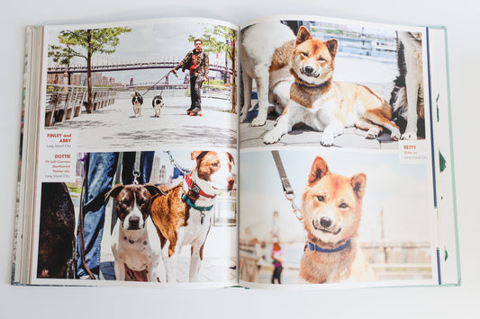 Canines Of New York