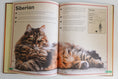 Load image into Gallery viewer, The Magnificent Book Of Cats