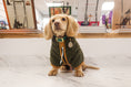 Load image into Gallery viewer, Sherpa Fleece Dog Coat - Pine/Yuzu