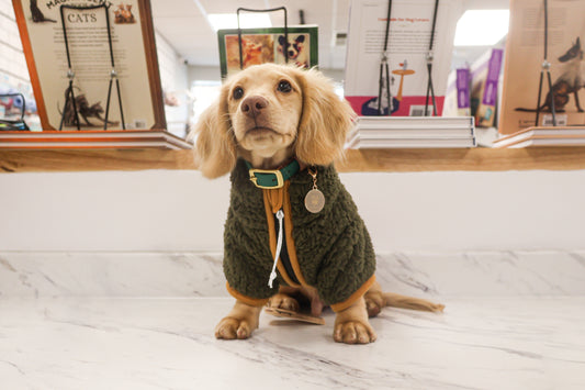 Sherpa Fleece Dog Coat - Pine/Yuzu