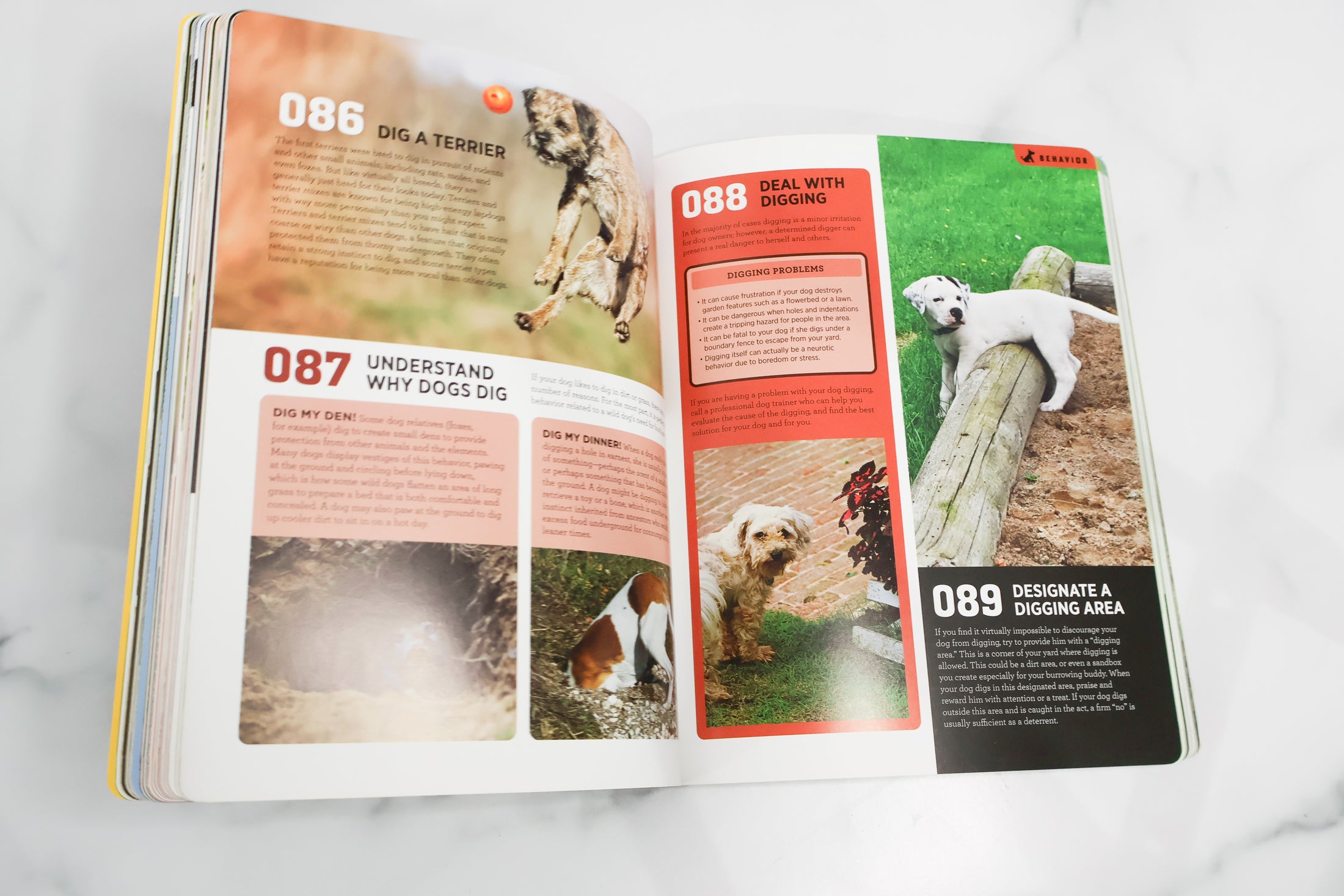 The Total Dog Manual