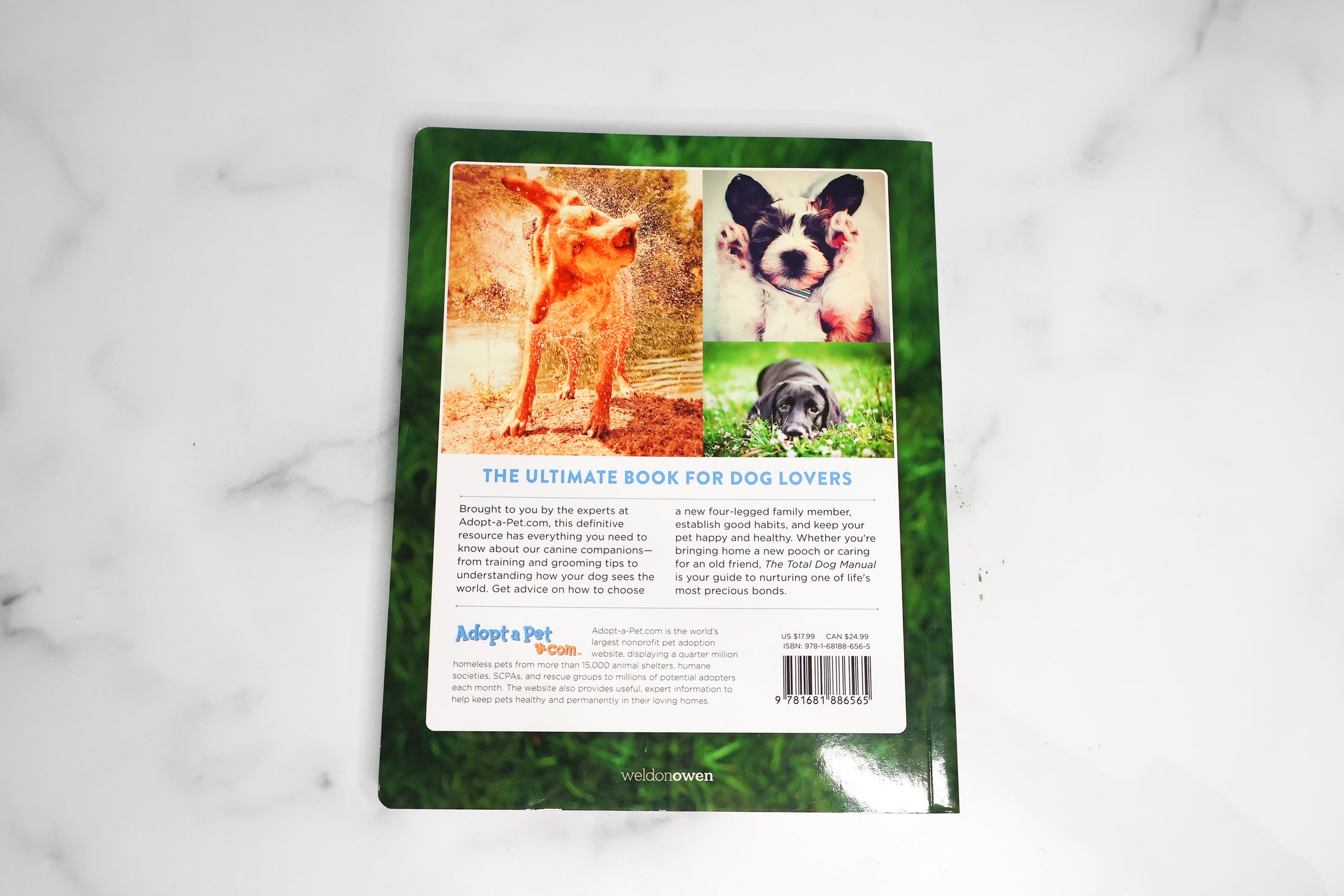 The Total Dog Manual