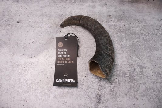 Sheep Horn Dog Chew