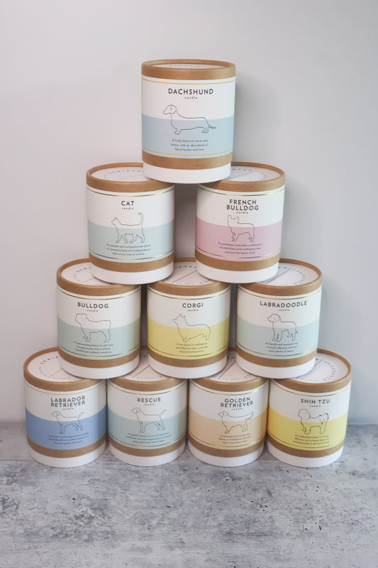 Candles