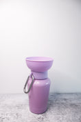 Load image into Gallery viewer, Travel Water Bottles/Bowls