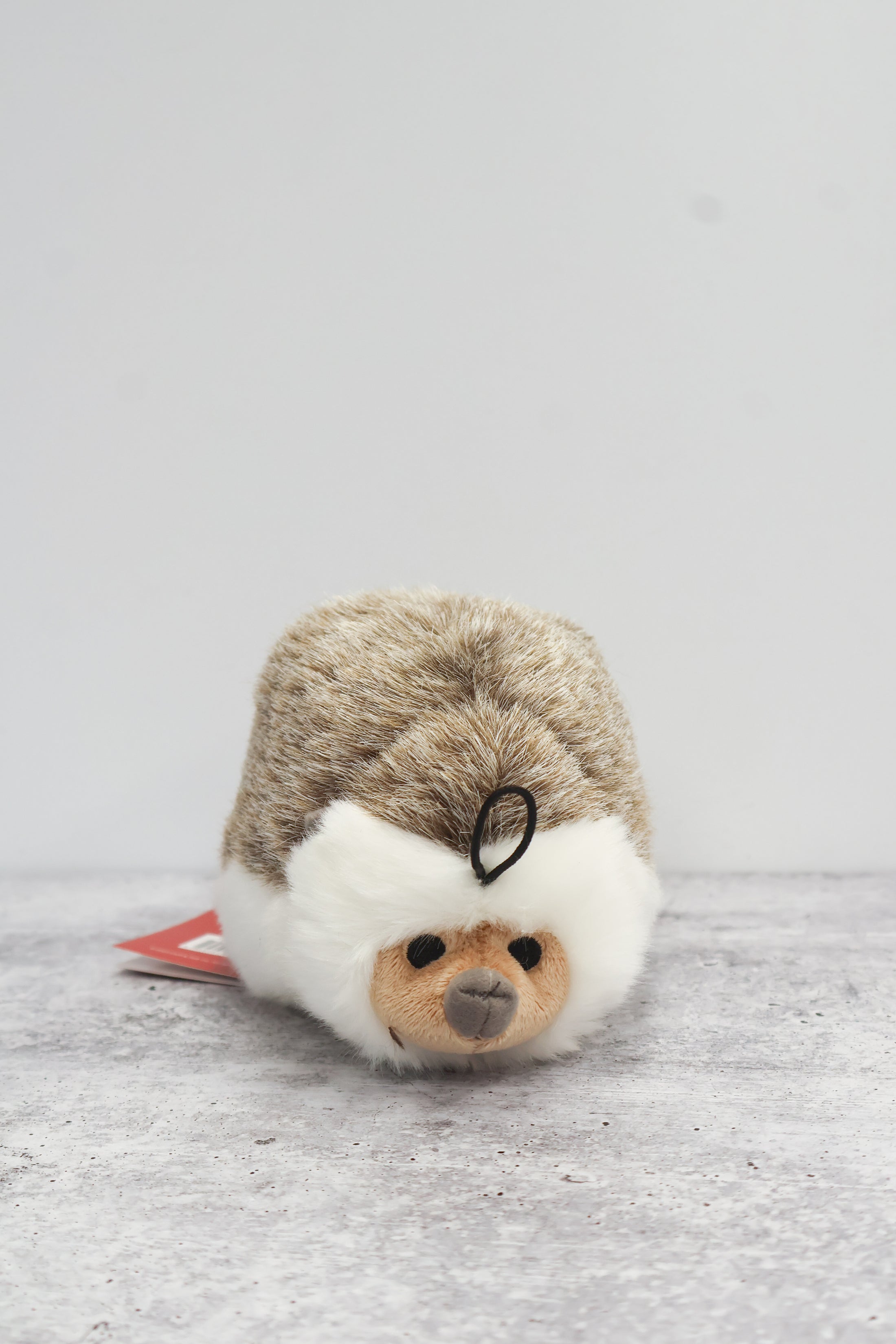 Harriet Hedgehog