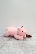 Load image into Gallery viewer, Petey Pig