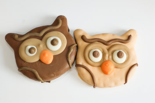 You're A Hoot Owl