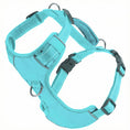 Load image into Gallery viewer, Sea Foam Chesapeake Bay Dog Harness