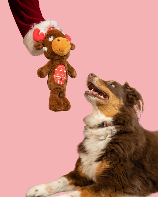 Mistletoe Moose Dog Toy