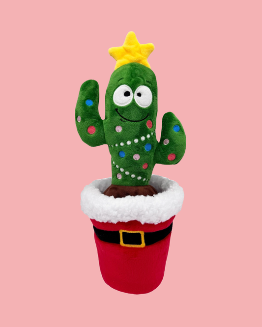 Holiday Cactus
