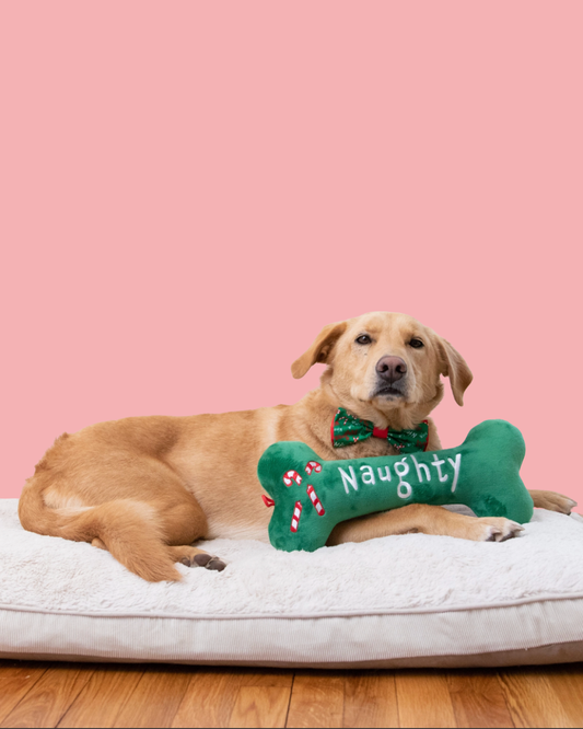 Naughty Nice Bone Dog Toy