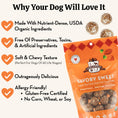 Load image into Gallery viewer, Savory Sweet Organic Dog Treats
