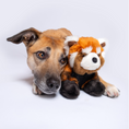 Load image into Gallery viewer, Archie Red Panda