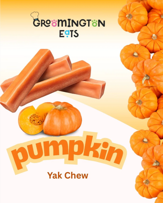 Pumpkin Himalayan Chew