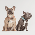 Load image into Gallery viewer, Tickless Classic Pet Chemical-Free Tick and Flea Repellent
