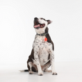 Load image into Gallery viewer, Tickless Classic Pet Chemical-Free Tick and Flea Repellent