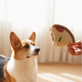 Load image into Gallery viewer, Deep Dish Pizza//Enrichment Dog Toy