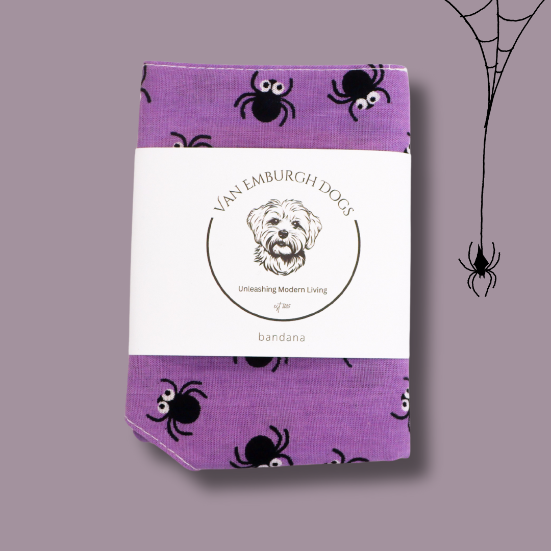 Spider Bandana