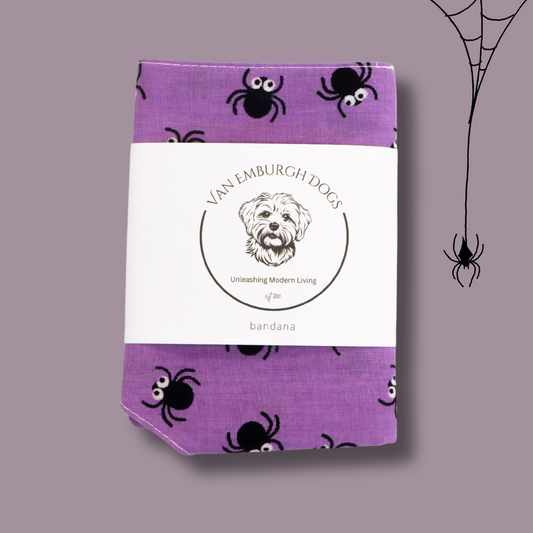 Spider Bandana