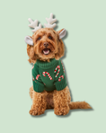 Load image into Gallery viewer, Candy Canes Holiday Dog Sweater