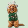 Load image into Gallery viewer, Candy Canes Holiday Dog Sweater
