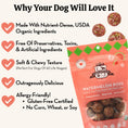 Load image into Gallery viewer, Watermelon Pops Organic Dog Treats