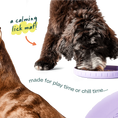 Load image into Gallery viewer, Fly n' Fetch - Woof