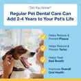 Load image into Gallery viewer, PRODEN DOG PLAQUEOFF DENTAL CARE BONES - BACON 17OZ