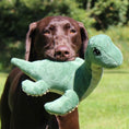 Load image into Gallery viewer, Nessie with Squeaker Dog Toy